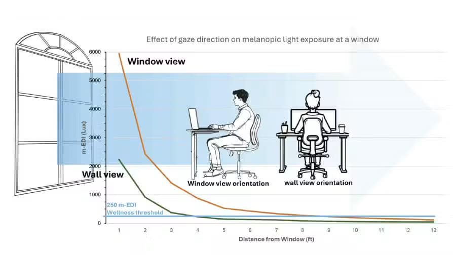 Indoor vertical melanopic light measurements through a clear East window (WWR=49%, Head Height 6’8”) from two gaze directions: window view (orange) versus wall view 90° from window (green) at 1.2m height under sunny midday conditions, Carlsbad, California. The blue line marks the recommended indoor melanopic light exposure threshold.
