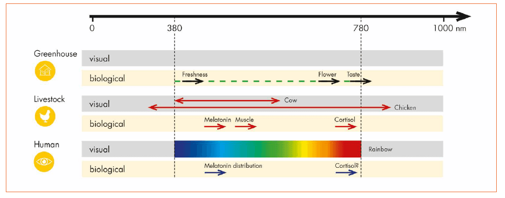 Bio-Effective Lighting for Humans, Livestock and Plants