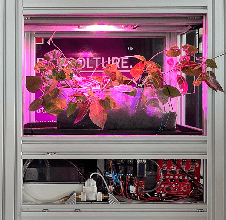 Horticulture LEDs to Boost Vertical Farming Efficiency