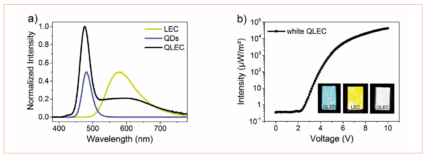 Hybrid Quantum Dot Light Emitting Electrochemical Cells