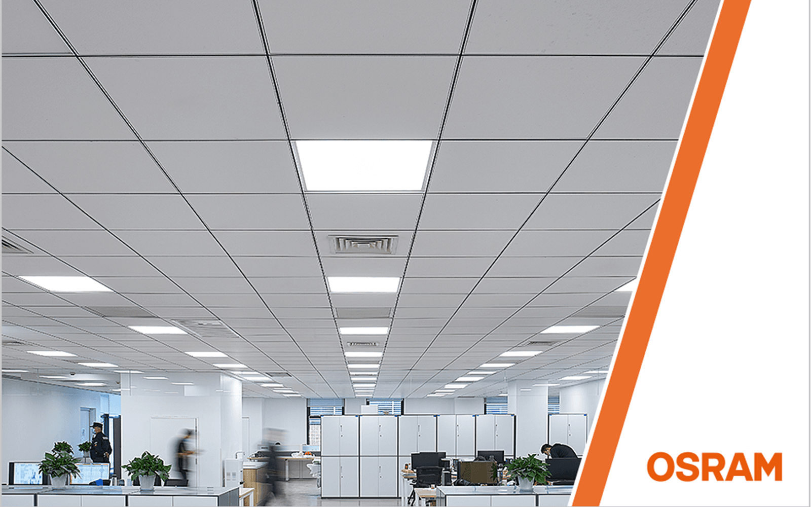 Why Offices Need New Lighting Solutions Now