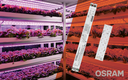 More Growth with the LED System Solutions from OSRAM DS