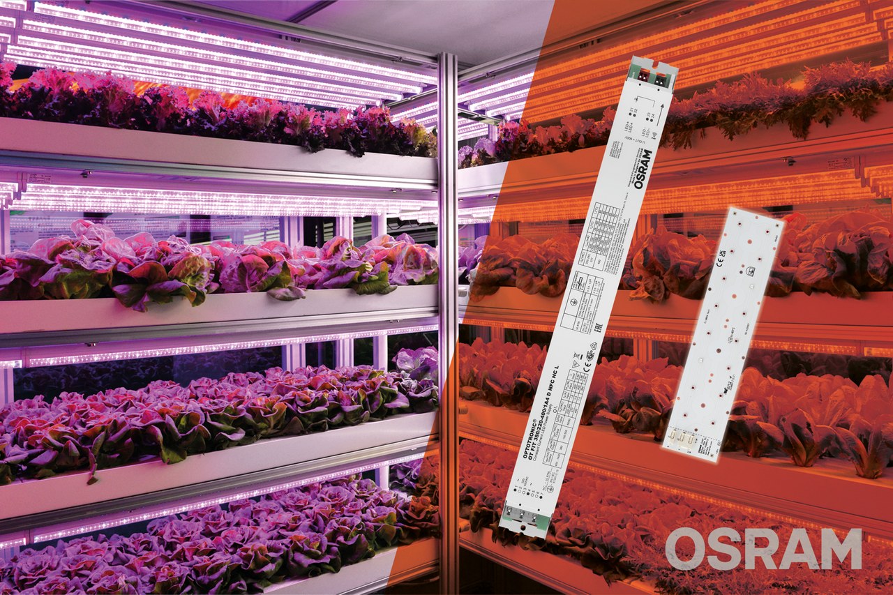More Lighting Power Horticulture LED professional - LED Lighting Technology, Application Magazine