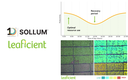 Sollum Technologies and Leaficient Introduce the First Plant-responsive Dynamic LED Lighting Solution