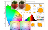 WHITE PAPER: Achieving Optimal Color Rendition with LEDs