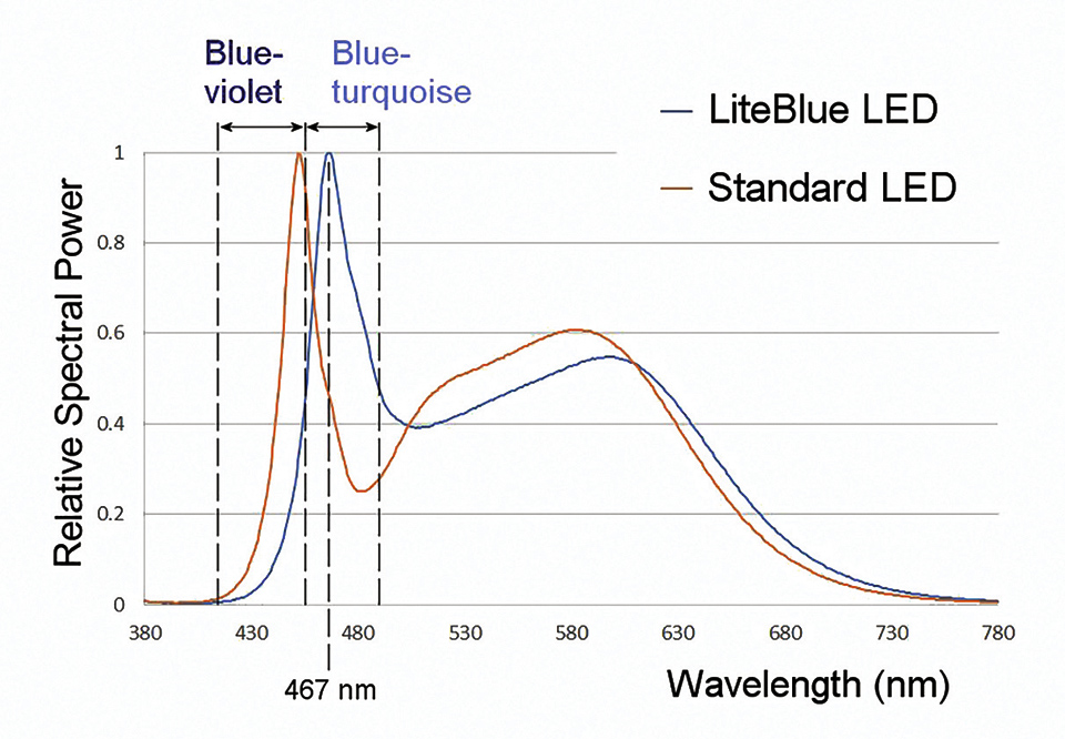 Figure 4 (cmyk).jpg