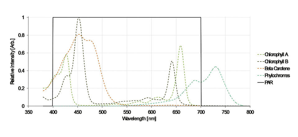 Figure 1.jpg