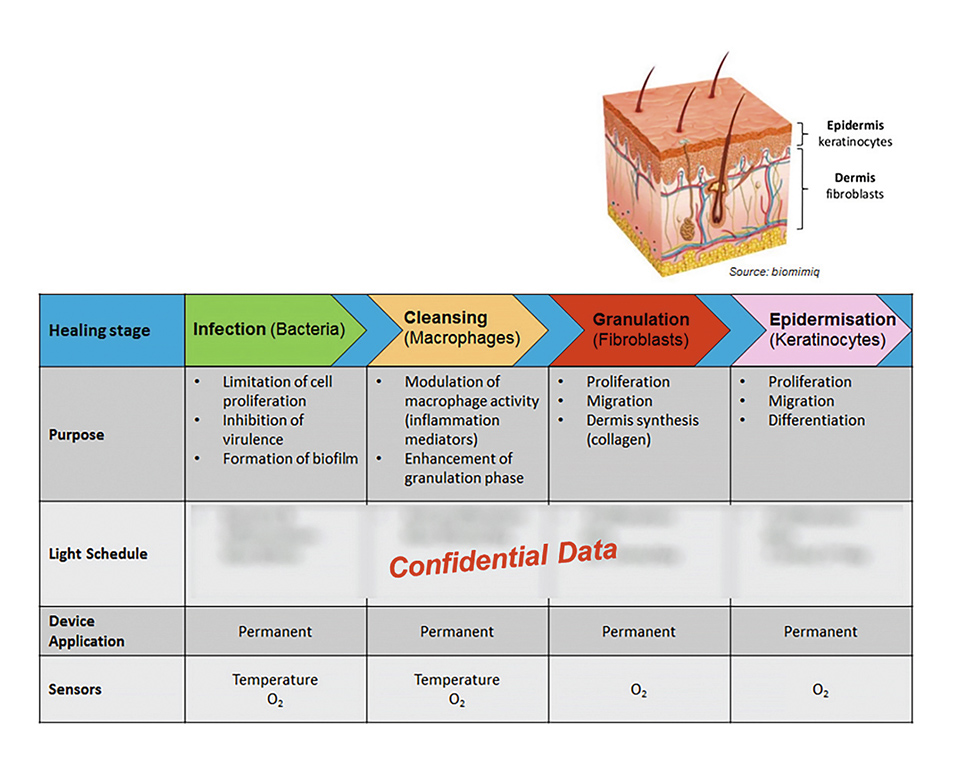 Figure 2.jpg