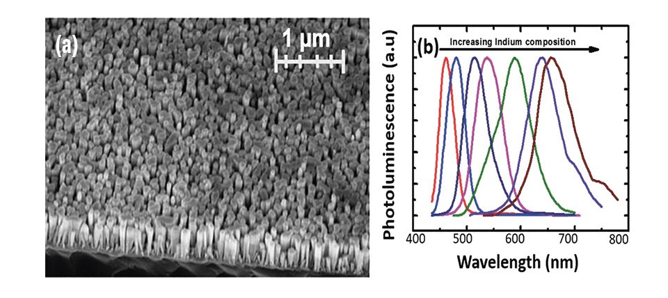 Figure 1. (a) A 45-degree tilted SEM image of the InGaN/AlGaN core–shell nanowire LED grown by MBE. (b) Normalized room temperature photoluminescence spectra depicting multiple emission colors from different InGaN/AlGaN nanowire LEDs[1]