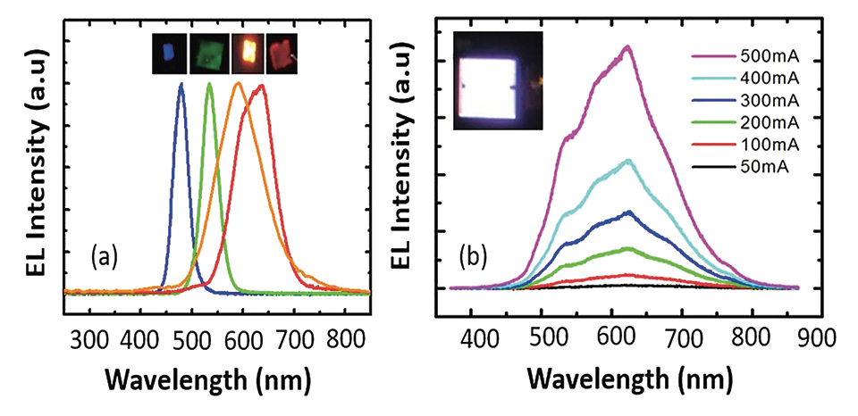 Figure 2.jpg