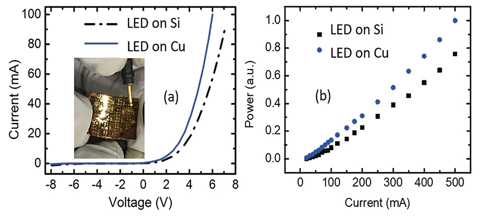 Figure 4.jpg