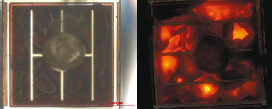 Figure 2: Reflected light (left) and transmitted light (right) microscopy of a typical surface corrosion.