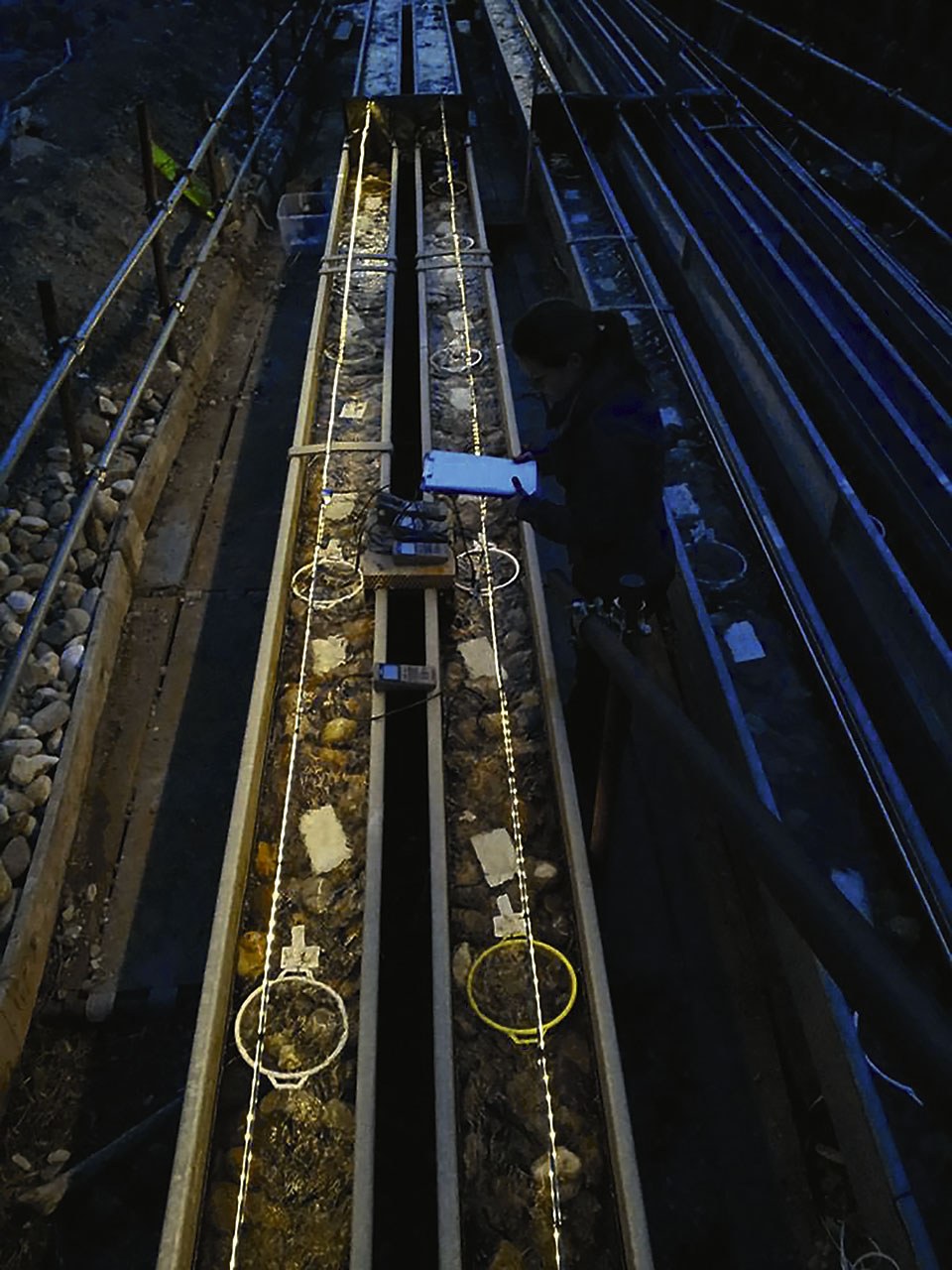 Maja Grubisi @ work (Credit_Alessandro Manfrin).jpg