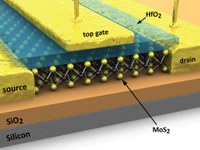 A discovery made at EPFL could play an important role in electronics, allowing us to make transistors that are smaller and more energy efficient. Research carried out in the Laboratory of Nanoscale Electronics and Structures (LANES) has revealed that molybdenite, or MoS2, is a very effective semiconductor. This mineral, which is abundant in nature, is often used as an element in steel alloys or as an additive in lubricants. But it had not yet been extensively studied for use in electronics