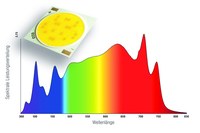 Broadband Neutral White LEDs Including Effective UV Component Modelled on the Sun for Rapid Plant Growth