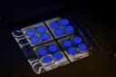 Cynora Introduces Fluorescent Blue Emitter that Gives OLEDs a Substantial Efficiency Boost