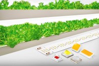 Samsung Electronics Expands Horticulture LED Lineups