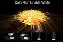 Tunable White Gets a Practical Tune-Up with Meteor's New ColorFlip™