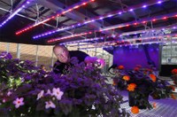 Purdue University Partners with Rutgers University, the University of Arizona, Michigan State University and Orbital Tech. for LED Lighting of Plants Project